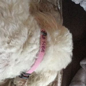 Meet your Posher, Joy